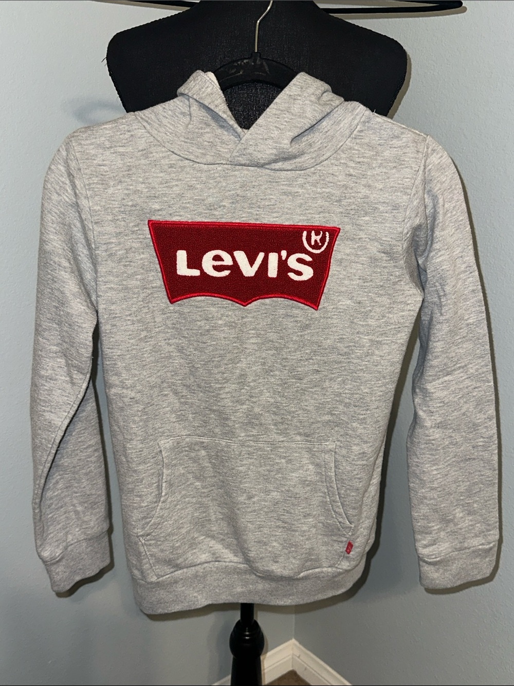 Levi's Kids Light Gray Hoodie with Red Logo Patch